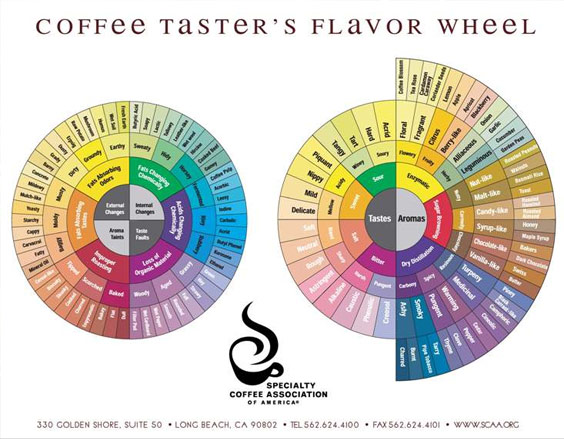 flavor-wheel